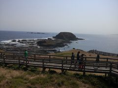 -企鹅岛