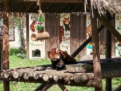 -合肥野生动物园