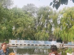 -白洋淀景区