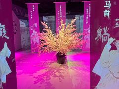 -金陵梦华·宫宴(南京首店)