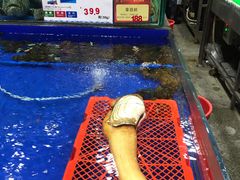 -东江海鲜酒家(艺都分店)