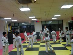 -金翼跆拳道巴西柔术拳击格斗学院