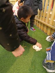 -萌宠亲子动物乐园(槐房万达店)