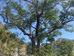 -黄檀硐景区