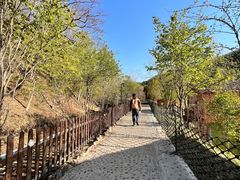 -参仙谷生态旅游度假区