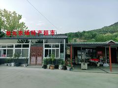 -百果山乐享果玩