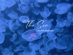 -沈阳海洋探索中心