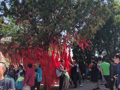 -青州市云门山风景区