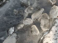-宣武艺园