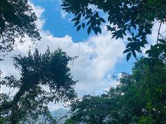 -七仙岭温泉国家森林公园