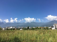 -芦苇荡·酸汤鱼(回龙观店)