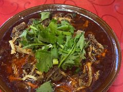 -冯烫烫跷脚牛肉·川菜小馆(武胜西街店)