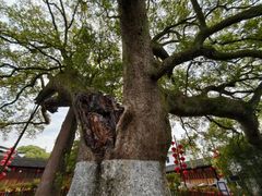 -新安江山水画廊风景区