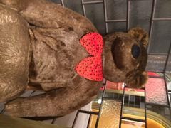 泰迪熊五-济州岛泰迪熊博物馆