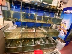 水产区-天天渔港海鲜酒家(石浦玉泉路店)