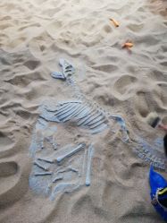 点击看大图 -恐龙探索乐园(磁器口店)