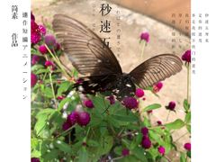 -杨家堂村