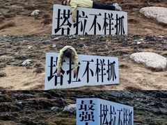 -银肯塔拉沙漠生态旅游景区