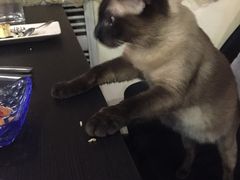 -吱咖啡西式简餐