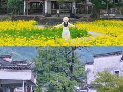 -上坦村