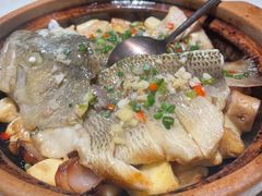 -点都德·毕德寮
