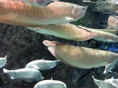 -成都浩海立方海洋公园