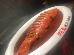 -阿五黄河大鲤鱼(英协路店)