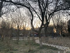 -丰台科技园生态主题公园