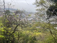 -灵岩山风景区