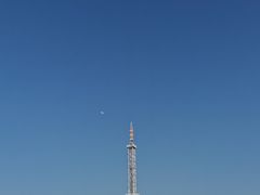 -水濂山森林公园