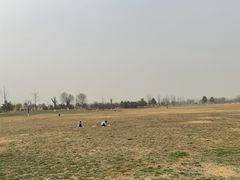 -汉长安城未央宫国家考古遗址公园