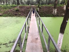-东郊湿地公园