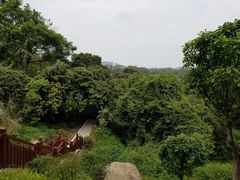 -天鹿湖森林公园