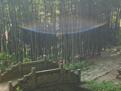 -莫干山风景区