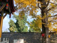 -金堂县云顶石城风景区