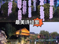 -诗经里