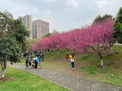 -堤角公园
