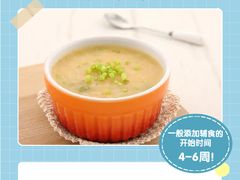 -小蝌蚪·寻·月嫂(普陀总部)