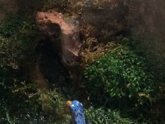 -暹罗海洋世界