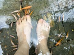 -三亚海棠湾南田温泉神龙谷