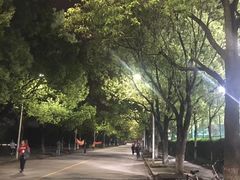 -华东政法大学(松江校区)