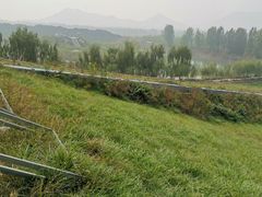 -东方巨龟苑景区