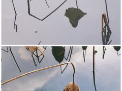 -北山街历史文化街区