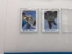 -美联众合动物医院(·中兽医·疑难杂症·严家桥分院)