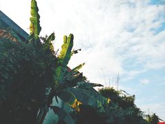 -凤凰御元艺术基地