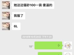 回去第二天开始日夜颠倒给猫各种打扮戴帽子玩耍发朋友圈大毛巾捂住猫凹造型天天掏耳朵导致猫应急严重！大家可以看一下此猫之前状态大好！-Bastet sally猫舍购宠(静安店)
