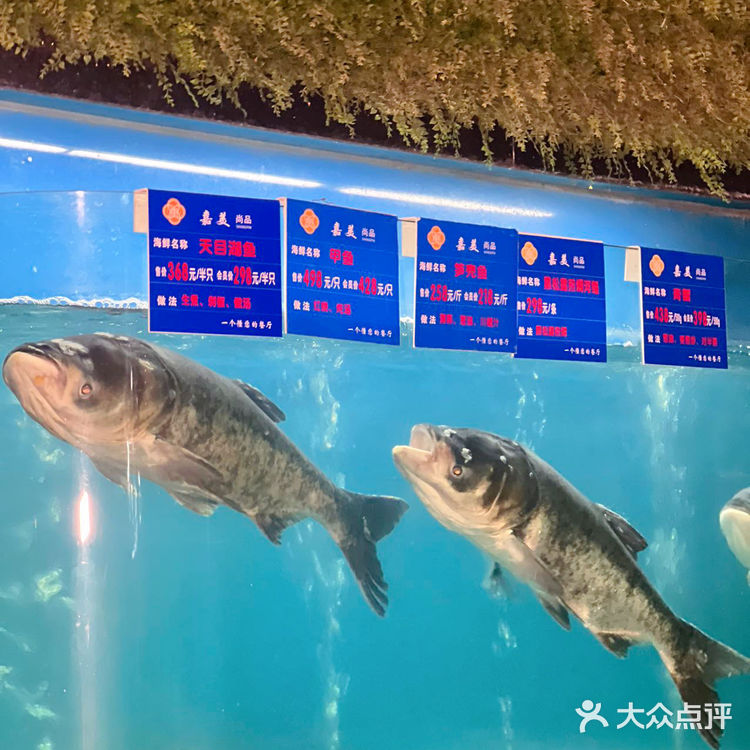 舌尖上的创意融合菜,30年大厨匠心独运,爱了爱了!