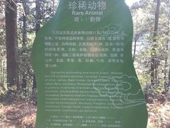 -云中大漈