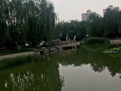 -丰台科技园生态主题公园