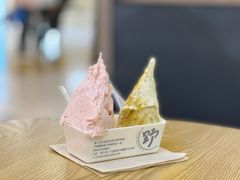 -野人先生Gelato(上海长宁龙之梦店)